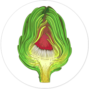 Artichoke-Circle-04